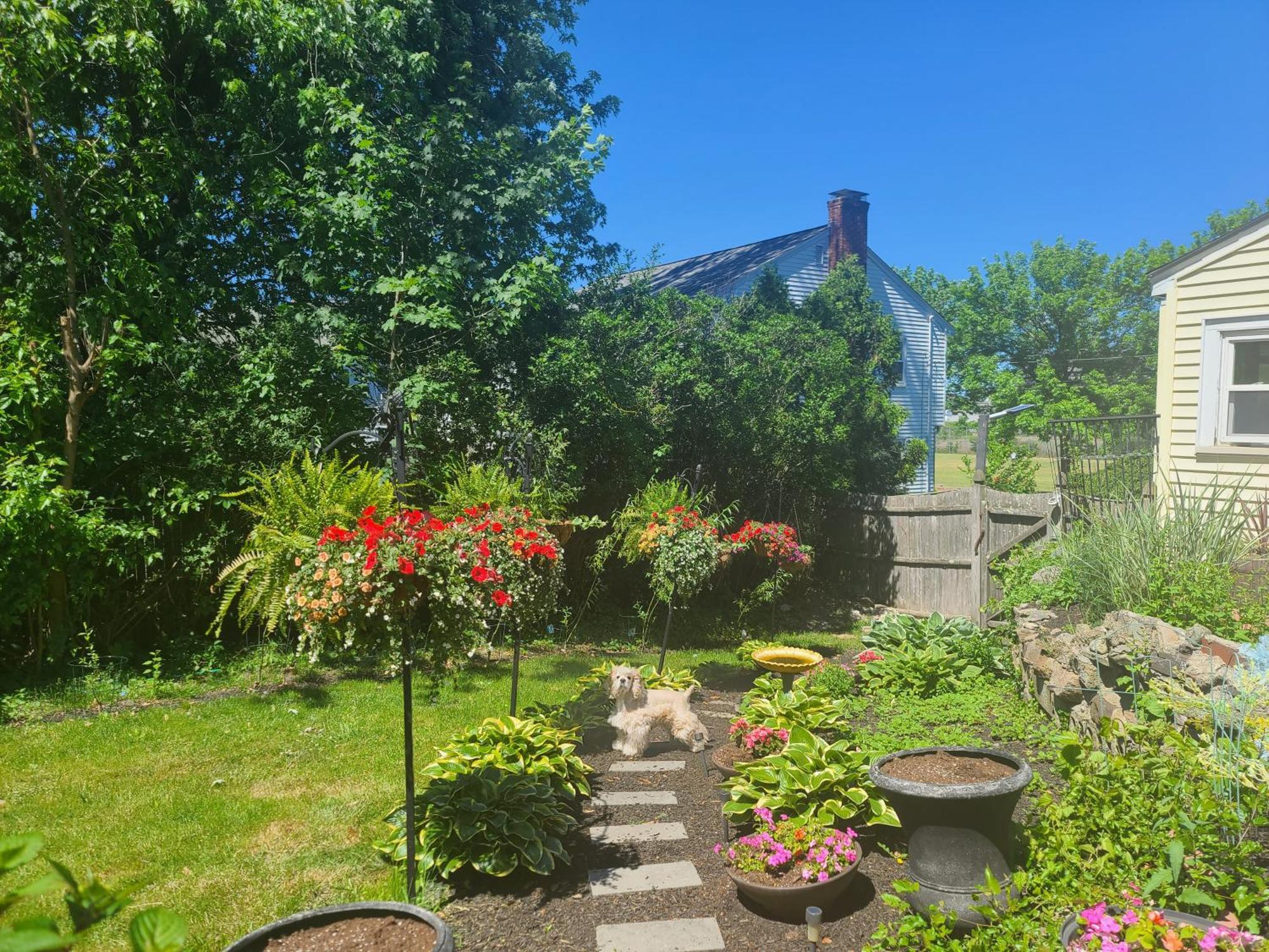 Apartmán Park View South Of Boston - Quincy Exteriér fotografie
